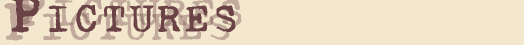 Pictures